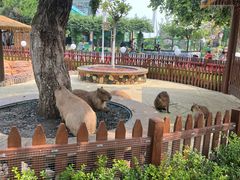 -大连森林动物园