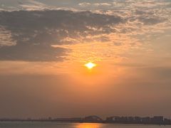 -金沙湖公园