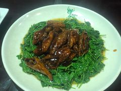 草头圈子-三林本帮馆(中林街店)