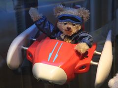 -济州岛泰迪熊博物馆