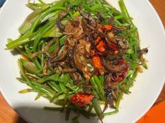 -菌自由丨野生菌火锅特色庭院餐厅(丽江古城店)