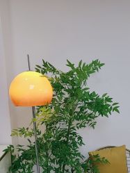 -变美丽半永久纹眉连锁·机器野生眉·洗眉