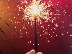 -溪岸路花鸟市场