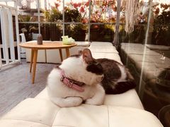 -小时光咖啡馆(北锣鼓巷店)