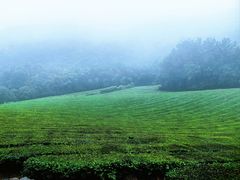 -敬亭山风景名胜区