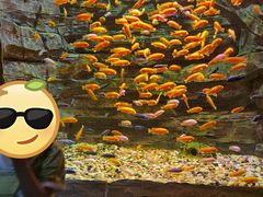 -多彩贵州城极地海洋世界