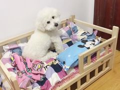 -瑞派宠物医院(锦江店)