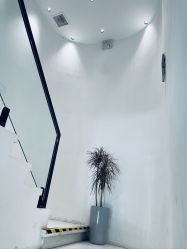 -CHIC 国潮男士发型