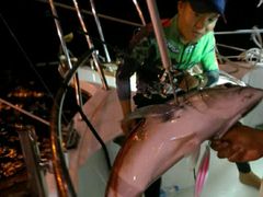 -小猫钓鱼海钓俱乐部(椰梦长廊店)