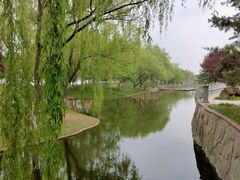 -石家庄市植物园