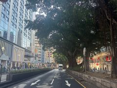 -九龙公园