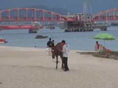 -玫瑰海岸文化旅游度假区