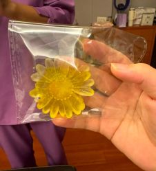 -馨月汇·一悦馨香月子中心(前滩店)