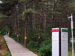 -帽儿山国家森林公园