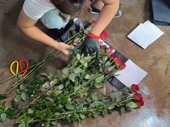 -合肥市裕丰花鸟虫鱼市场