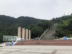 -铁山坪森林公园