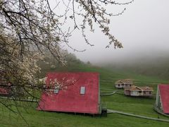 -关山草原