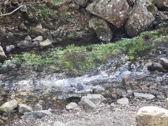 -宁海森林温泉
