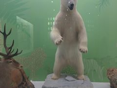 -国家自然博物馆