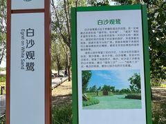 -东郊湿地公园