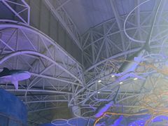 -烟台海昌鲸鲨海洋公园