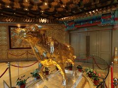 -华西龙希国际大酒店旅游观光景区