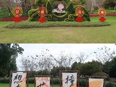 -径山花海