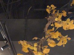 -京味斋·烤鸭·北京菜(安贞店)