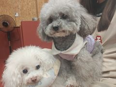 -和它·交个朋友·狗咖猫咖(爱琴海店)