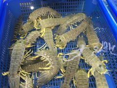 -盒马鲜生(皇庭广场店)
