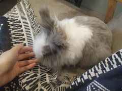-平行世界·猫咖(首经贸店)