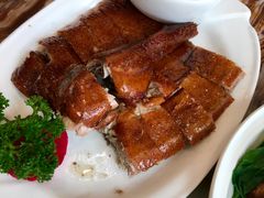 -椿记烧鹅(叠彩店)