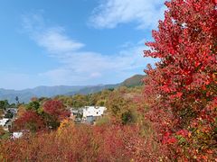 -塔川景区