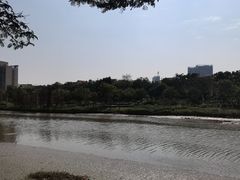 -怡海公园(桂城街道)