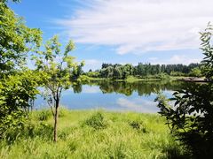 -东郊湿地公园