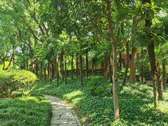 -申粤轩酒楼·三十年粤菜经典(丁香花园店)