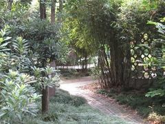 -徐家汇源景区-衡山公园