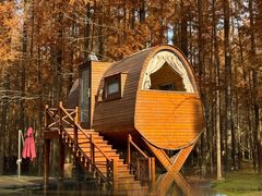 -黄海国家森林公园