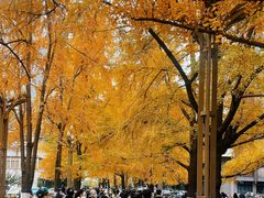 -四川大学华西第四医院