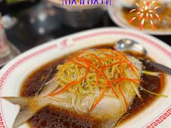 -中国城银都鱼翅酒楼