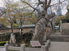 -青岛崂山太清宫