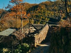 -四明山国家森林公园