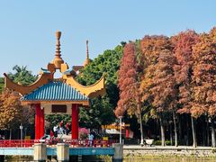 -金砂公园