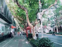 -五观堂素食(新华路店)