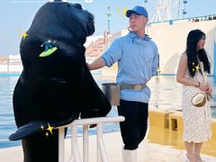 -秦皇岛乐岛海洋王国