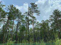 -北极村旅游风景区