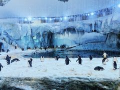 -珠海长隆海洋王国