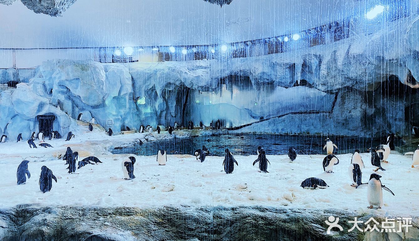 🐳长隆海洋王国的正确解锁方式