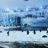 🐳长隆海洋王国的正确解锁方式