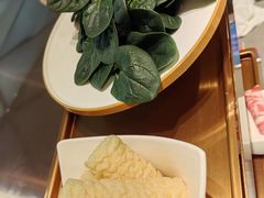 -海底捞火锅(龙岗星河COCO Park店)
